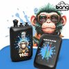 Wholesale WGA Salt E-Liquid 10ml – 20mg 2% Nicotine Salt Vape Juice for Disposable E-Cigarettes 30 Flavors