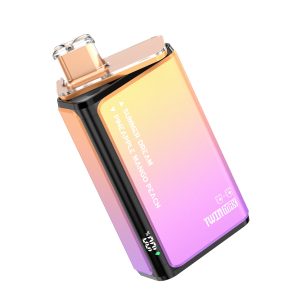 Hifancy Twins Max 60K – 60,000 Puffs, Dual Flavor, Rechargeable-Poland Warehouse