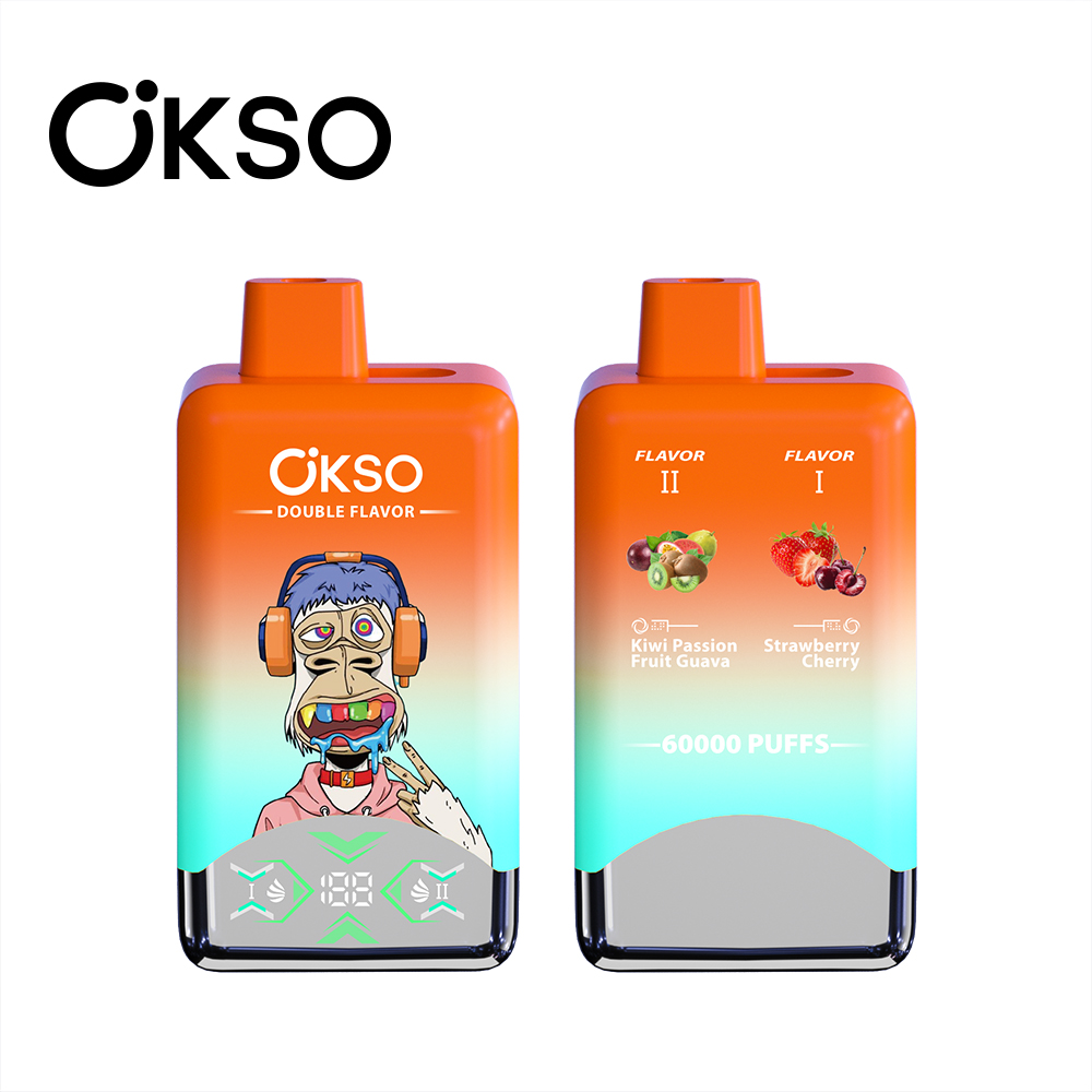 Okso 60000 Puffs With Dual Flavors Disposable Vape Germany Warehouse Stock