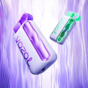/product-category/disposable-vape/vozol-vape/