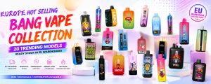 /product-category/disposable-vape/