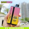 Zaro Bear 40000 Puffs Dual Flavors Wholesale Price EU Warehouse Disposable Vape
