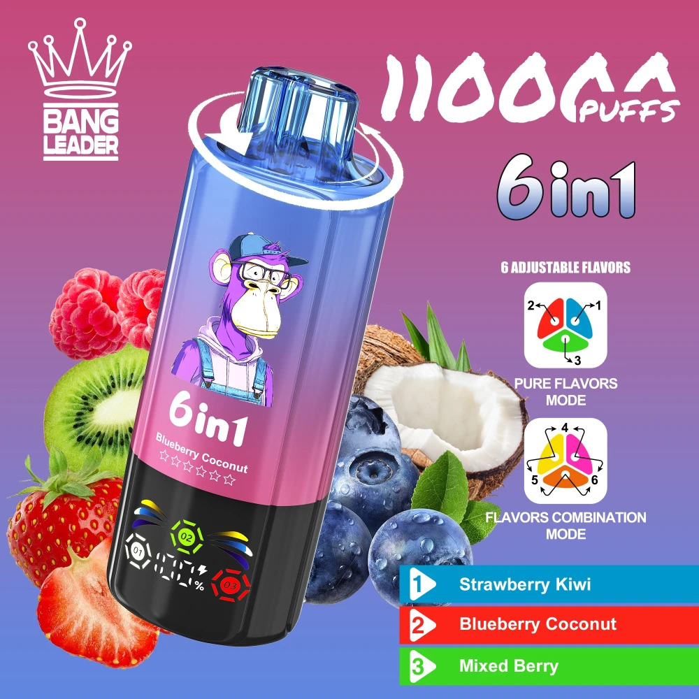 Bang Leader 110K Puffs Vape 6 IN 1 | Hot Selling Big Puff Rechargeable Disposable Vape with Multi Flavor System & Factory Direct Wholesale