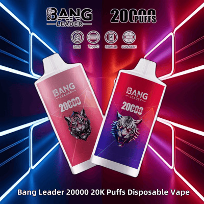 Bang Leader 20K Puffs Vape | Rechargeable Disposable Vape with Multi Flavors & Fast Shipping