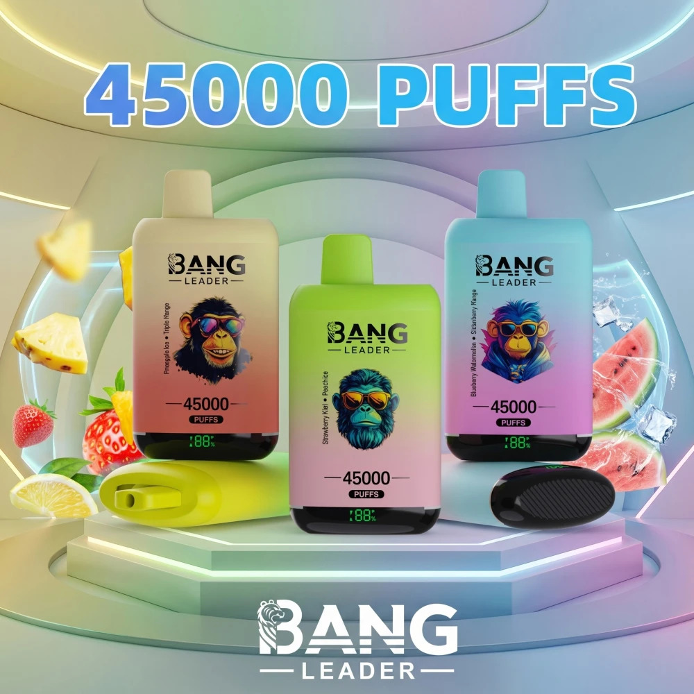Bang Leader 45K Puffs Disposable Vape | Dual Flavor Vape with Wholesale Price