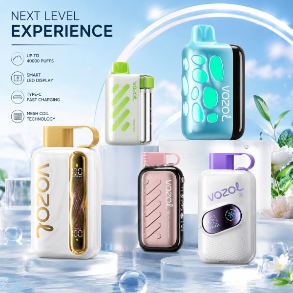 https://www.vapesgogo.com/product-category/disposable-vape/vozol-vape/